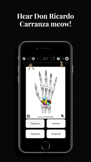 Anatomist - The Anatomy Game screenshot 4