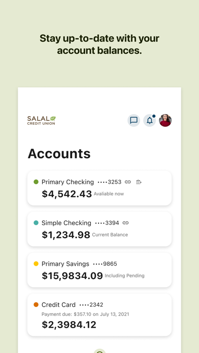 Salal Credit Union Screenshot