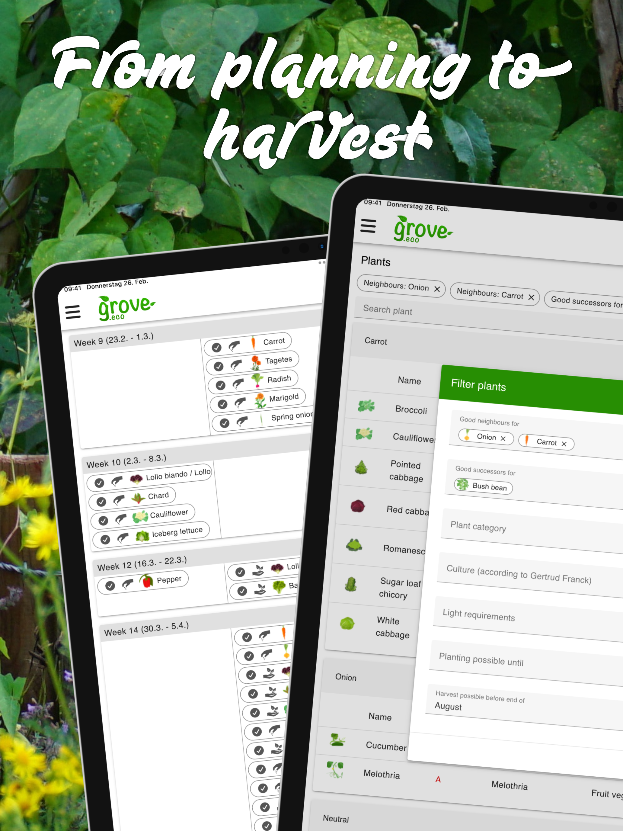 grove: Companion Plant Planner