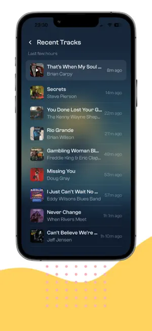 My Blues Radio screenshot 4