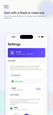 Prism — Google Sheets Budget Screenshot 5 of 5