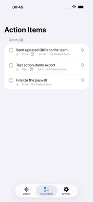 AI Audio Summarizer - Notably screenshot 4