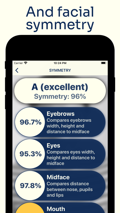 Measure Face Features - Milly Screenshot