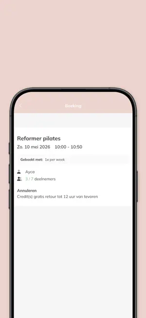 Reformique screenshot 3