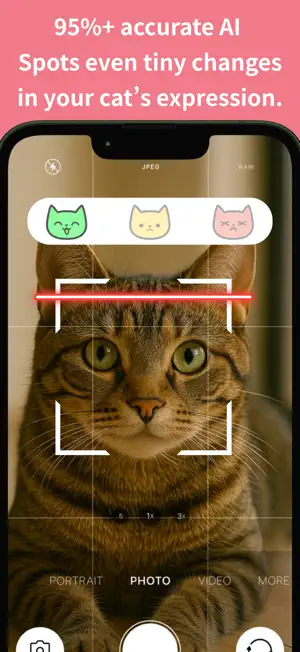 CatsMe – AI Health for Cats screenshot 1