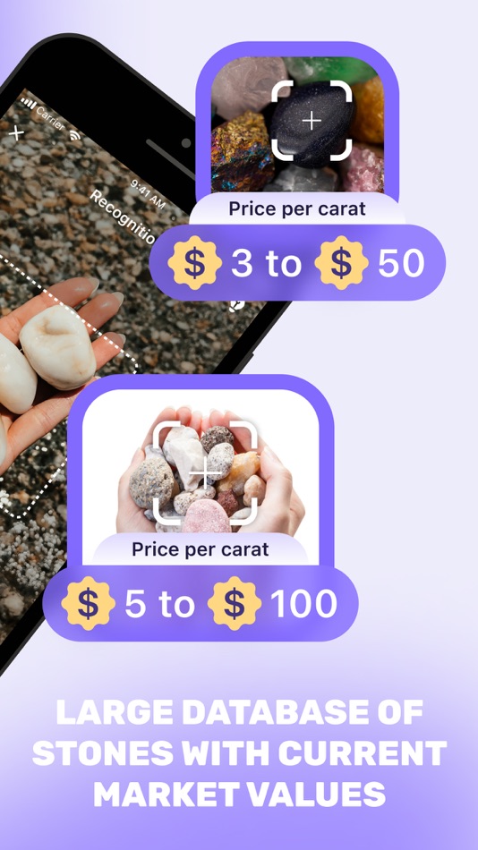 #2. Сrystal Identifier: Rock Guide (iOS) 由: AI Group LTD
