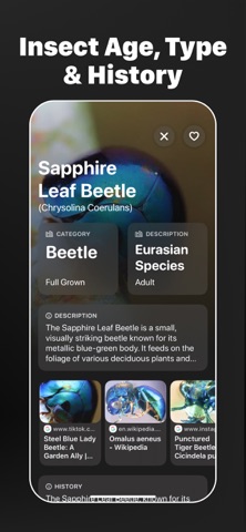 Insect Identifier・BugScan iPhone screenshot