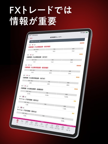 岡三アクティブFX Next VT iPad screenshot
