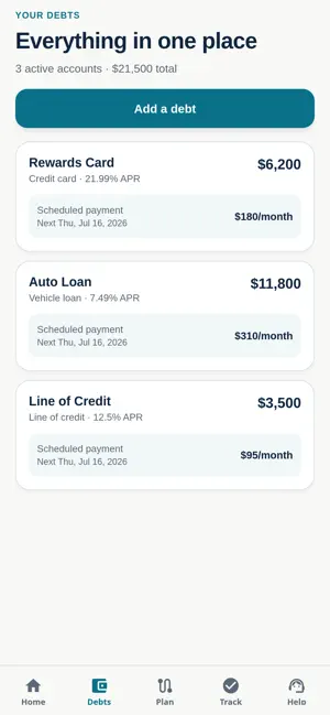 Spergel Debt Planner screenshot 3