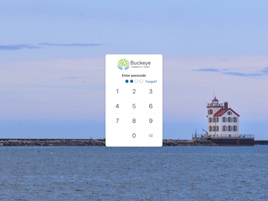 Buckeye Community Bank iPad screenshot 2 - Finance app