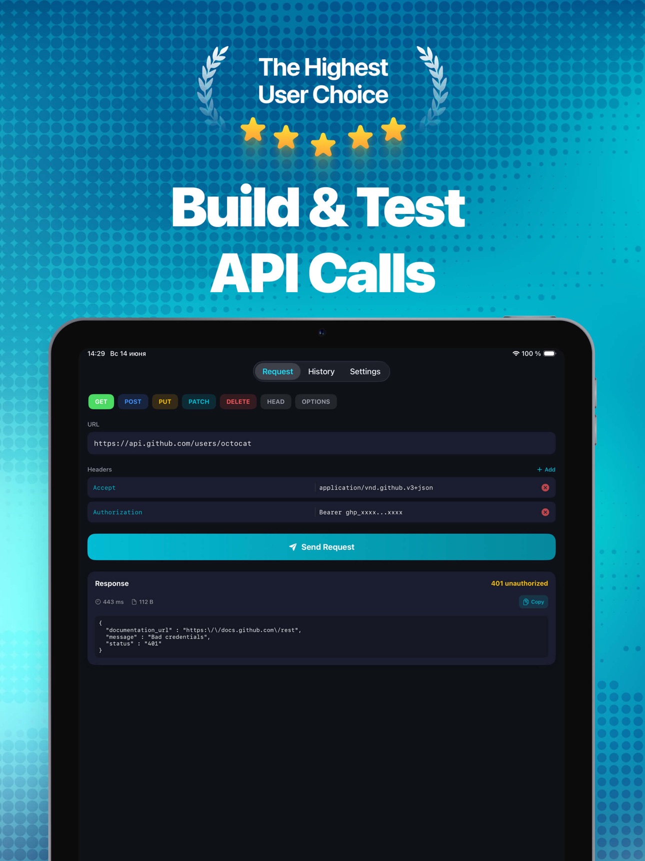 Screenshot 4 of Apinex – HTTP Client