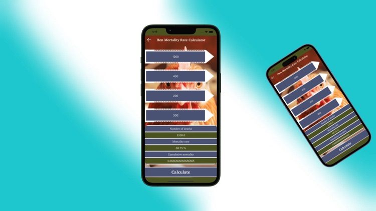 APLGC TOP Domestic Fowl