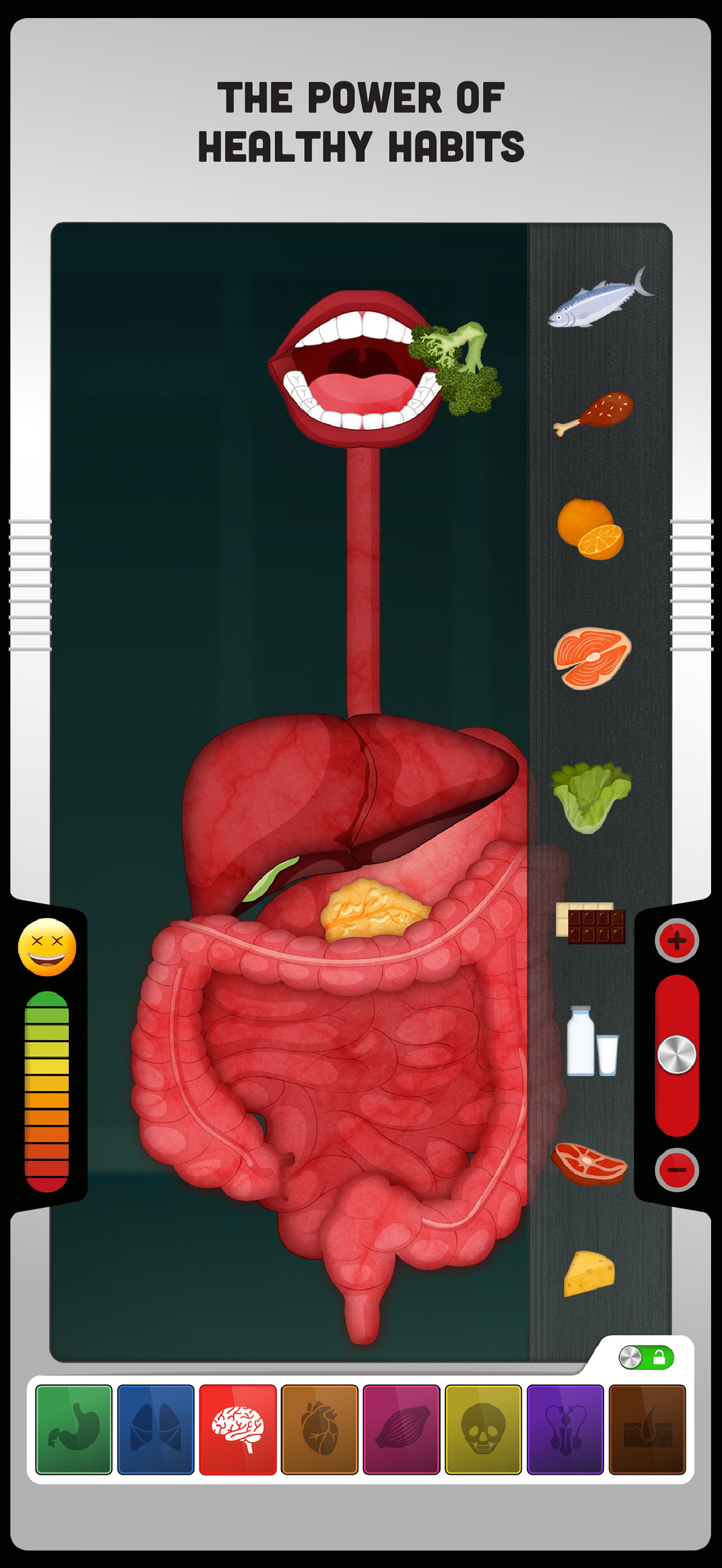 The Human Body: Learn Anatomy