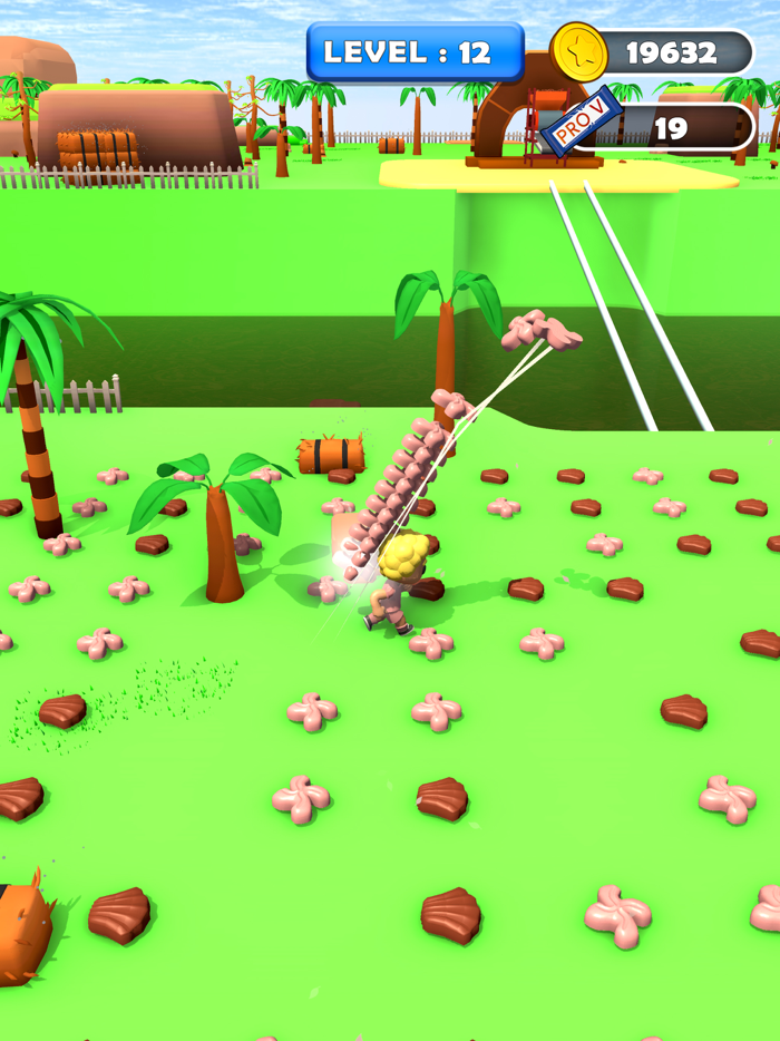 Chocolate Boy Run Bridge Race