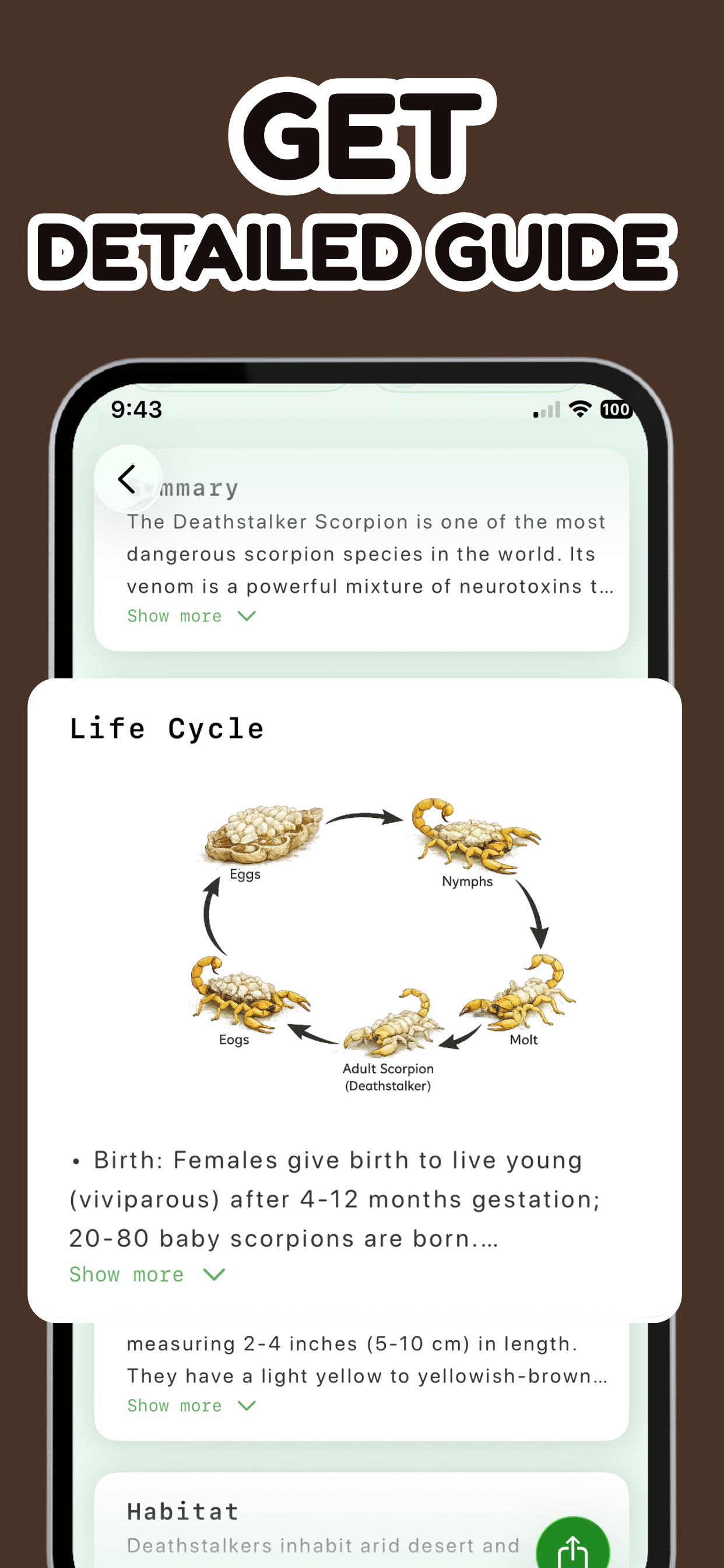 Insect Identification: SnapBug screenshot 4