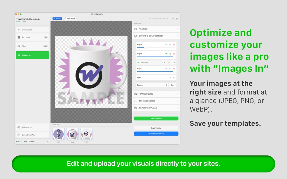 #4. DirectSyncWoo (macOS) โดย: DIRECT GRAPHIC S.A.S.