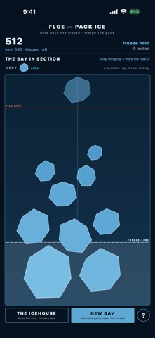 Floe Pack Ice screenshot 5