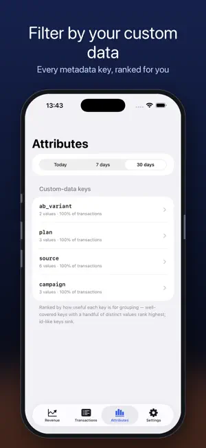 Pulse: Paddle Revenue screenshot 2