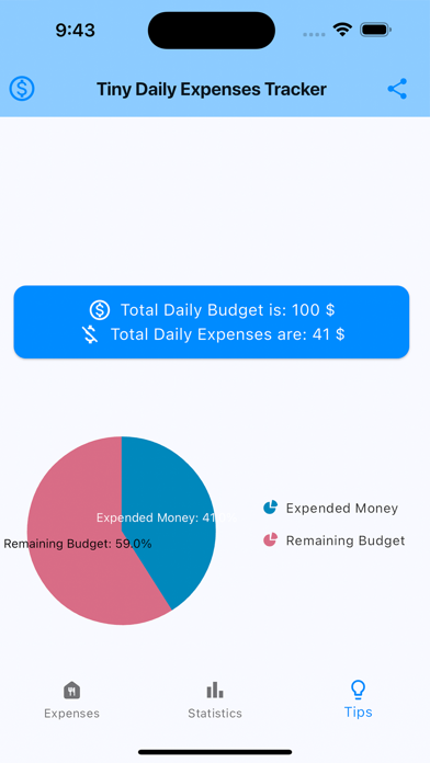 Tiny Daily Expenses Tracker Screenshot