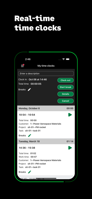 Sage Intelligent Time & Exp. Screenshot 5 of 8