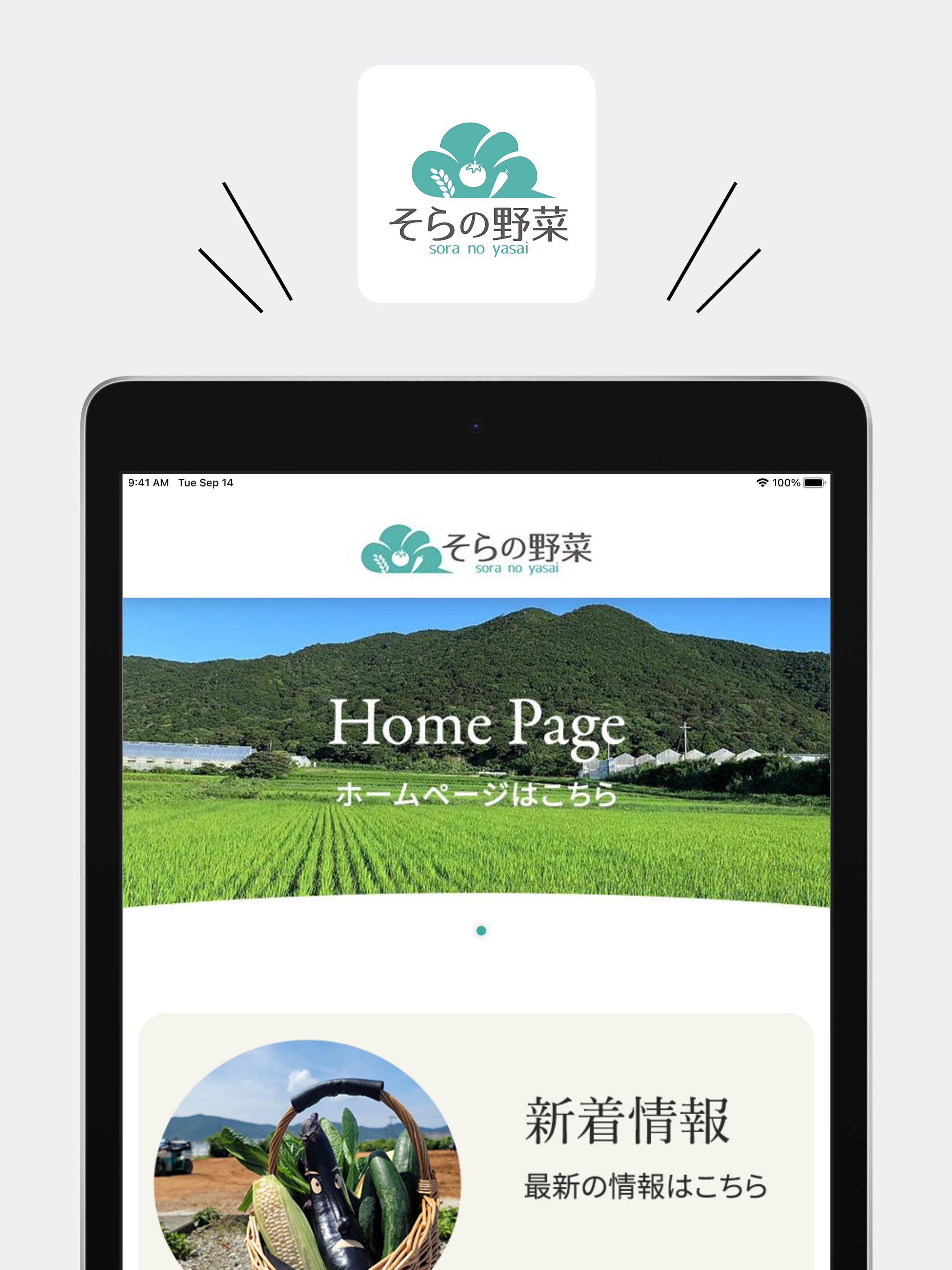 自然栽培そらの野菜【公式アプリ】 screenshot 5