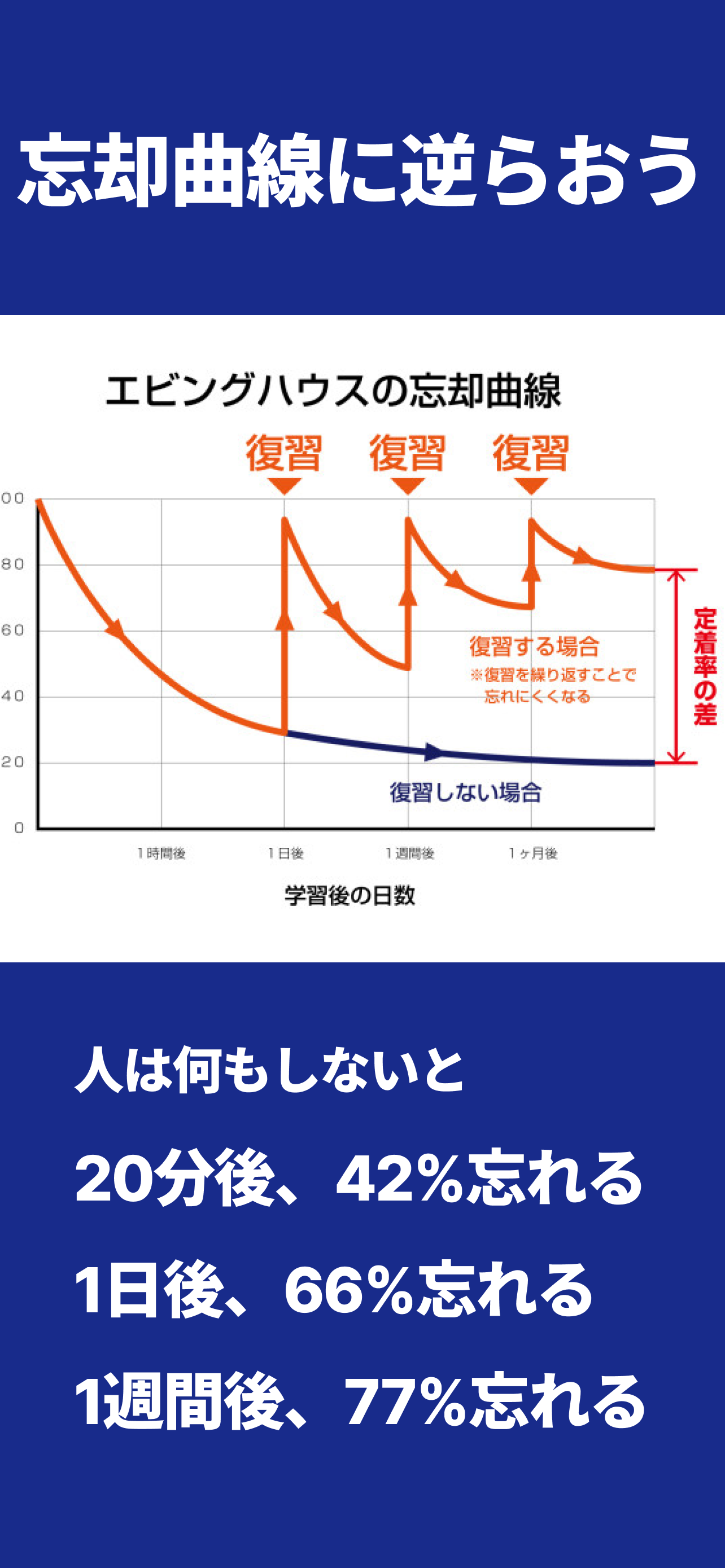 忘却曲線で英単語暗記 Recall｜英語フラッシュカード学習