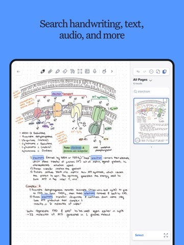 Notability - צילום מסך iPad 8