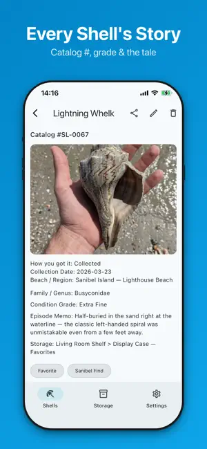 ShellLog: Seashell Catalog screenshot 2