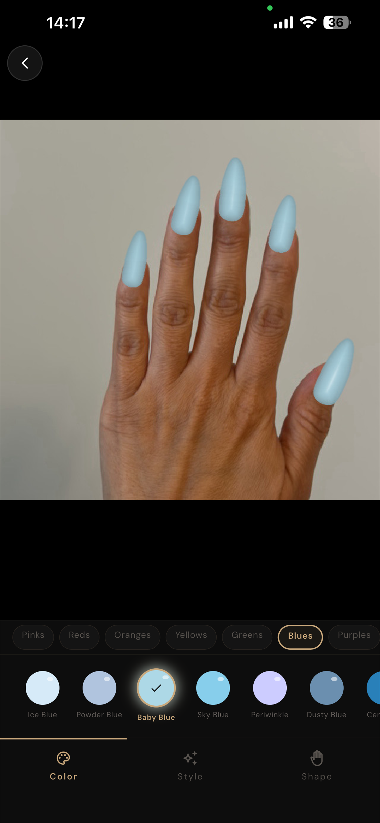 NailCam