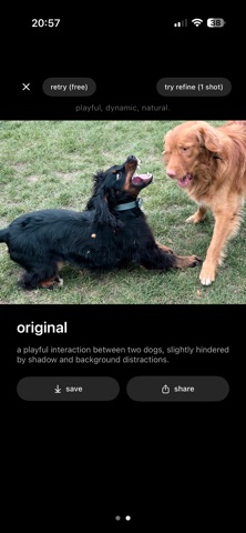 post – photos are stories iPhone screenshot
