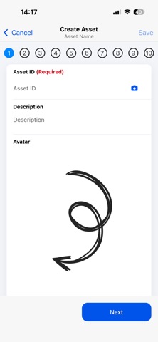 Asset Installer screenshot