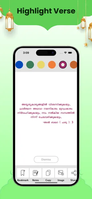 Malayalam Quran screenshot 4