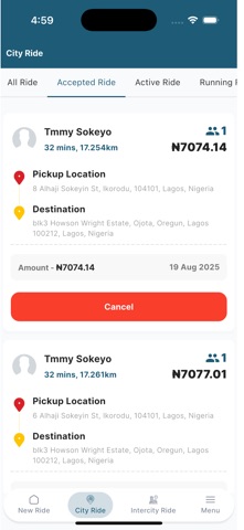 Dodja Errands Driver Screenshot 4 of 7