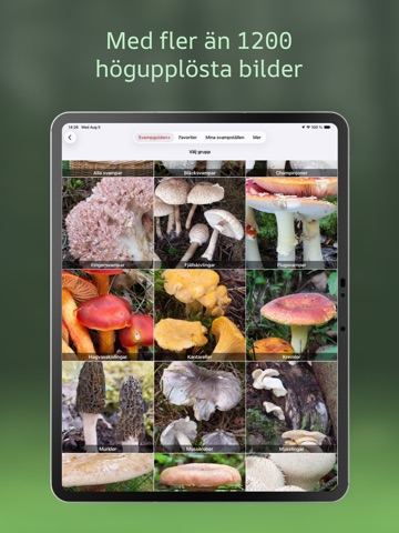 Svampguiden+ iPad screenshot 3