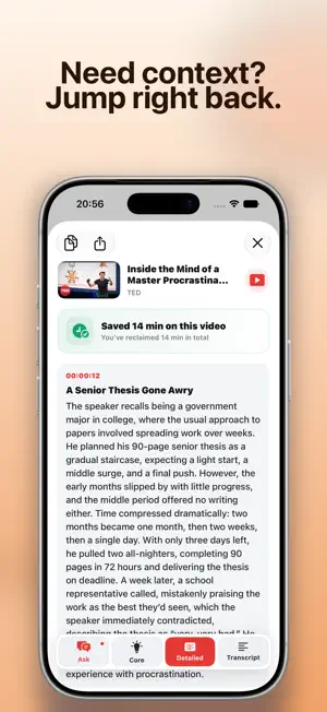TLDW: YouTube Summaries screenshot 4