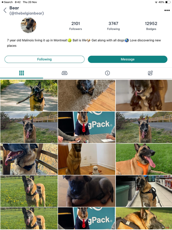 DogPack: Dog Friendly Spots iPad screenshot 6 - Lifestyle app