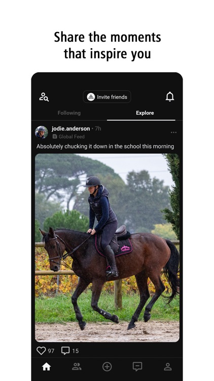 Haylo: for Equestrians