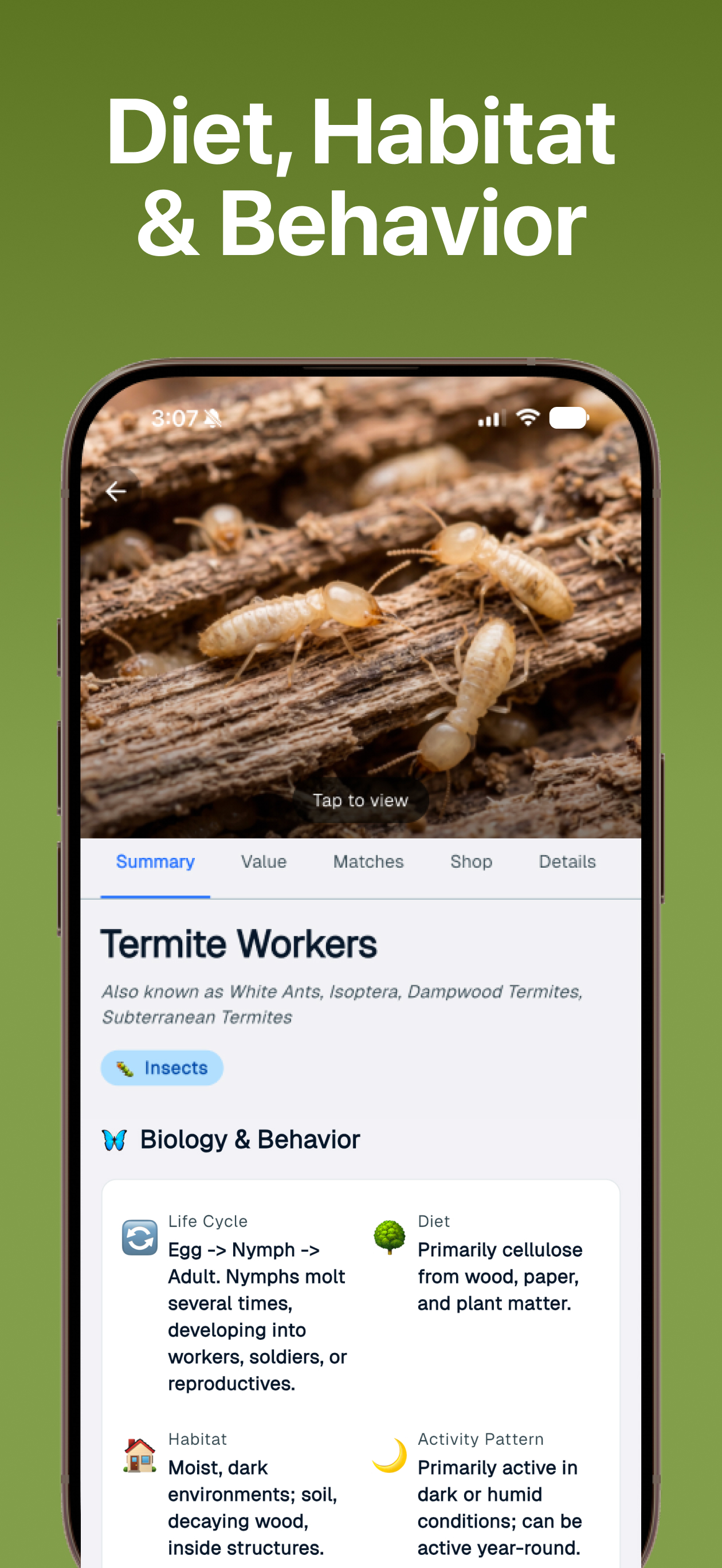 Bug Bite Identifier App screenshot 8