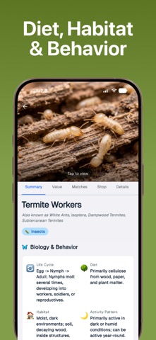 Bug Bite Identifier App screenshot