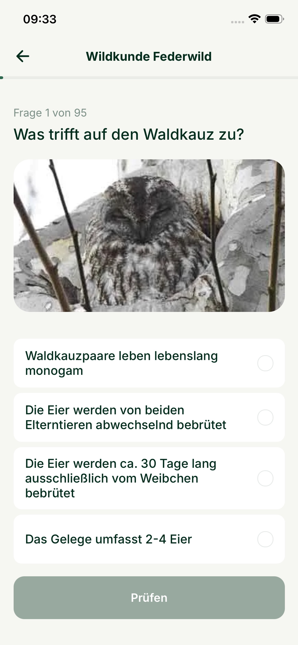 Screenshot 3 of Leitbruch