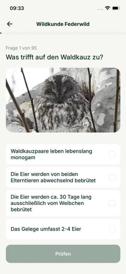 Screenshot 3 von 6 zu Leitbruch