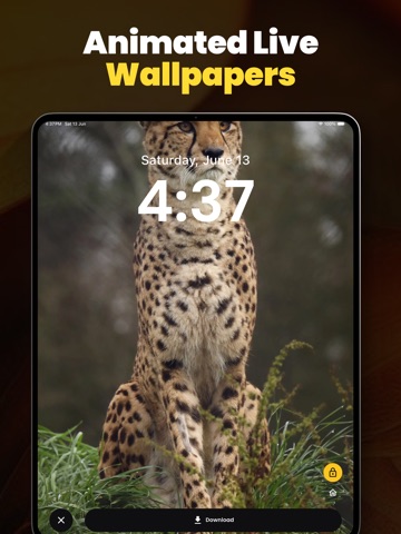 4K HD Wallpapers Lock Themes iPad screenshot 8