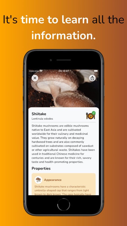 MushroomMate - Mushroom Finder