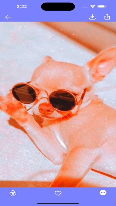 PFP X Dogs Wallpapers UHD! Screenshot
