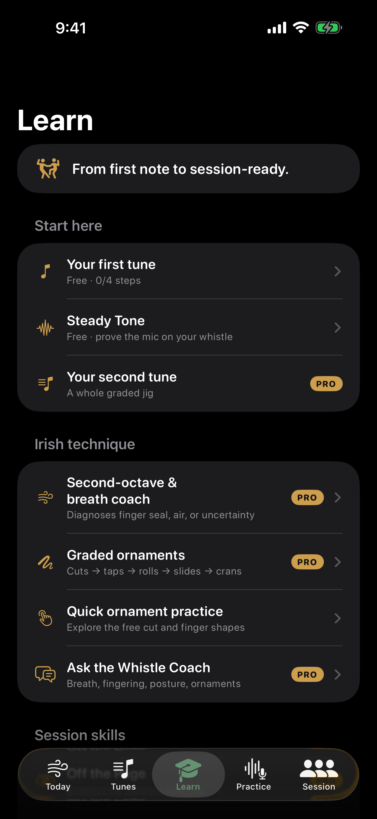 Session Whistle: Tin Whistle screenshot 3