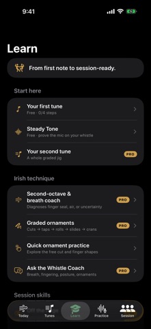 Session Whistle: Tin Whistle iPhone screenshot