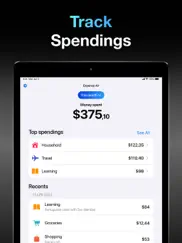 expense air - spending tracker ipad images 3