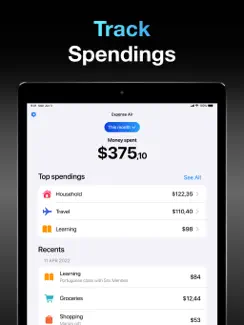 Expense Air - Spending Tracker iPad image 3