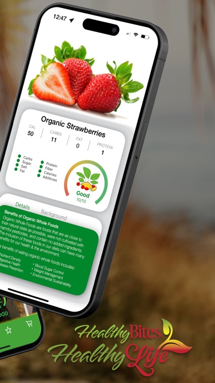 HealthyBites HealthyLife™