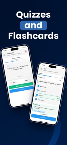 ProfAI screenshot